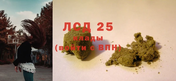эйфоретик Аркадак